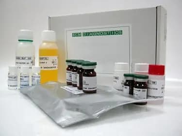 Helicobacter pylori IgG-ИФА